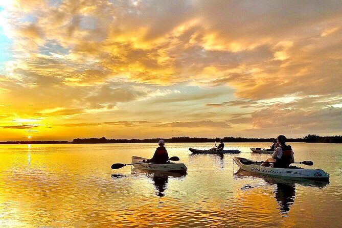 Sunset Tour Mangrove, Dolphins, Manatee #1 Rated in Cocoa Beach - Why Choose the Sunset Kayak Tour in Cocoa Beach?