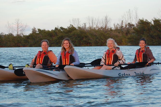 Sunset Tour Mangrove, Dolphins, Manatee #1 Rated in Cocoa Beach - Who Is This Tour Best For?