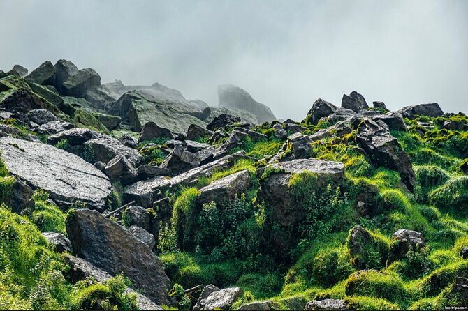 Sunset Tour of Niagara Falls State Park with Falls Illumination - Who Will Love This Tour?