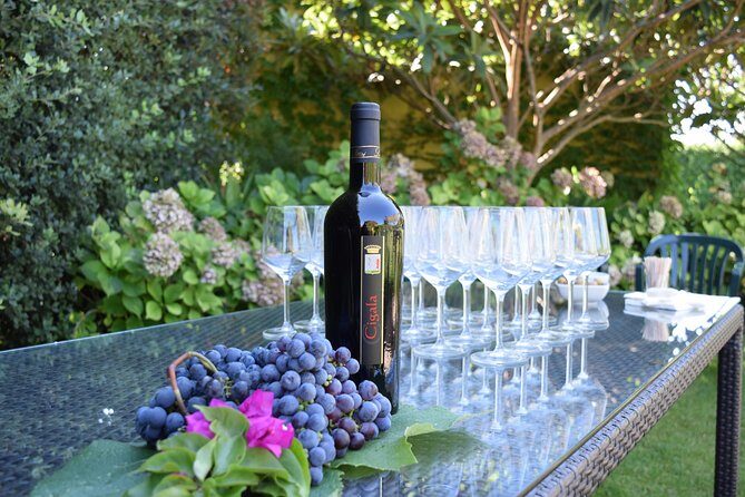 Sunset Tour with visit and guided tasting of 5 wines and local products - FAQs about the Sunset Wine Tour