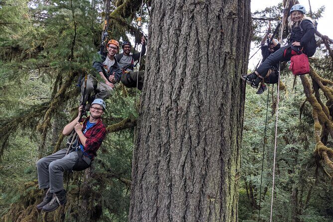 Sunset Tree Climb at Silver Falls State Park - Practical Tips for Your Tree Climb Adventure