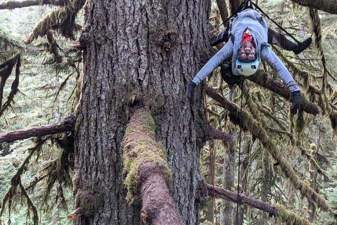 Sunset Tree Climb at Silver Falls State Park - FAQ