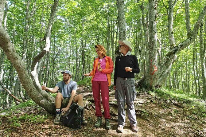 Sunset walking in NP Skadar lake from Podgorica - A Friendly Look at the Sunset Walks in Skadar Lake and Montenegro’s Prokletije