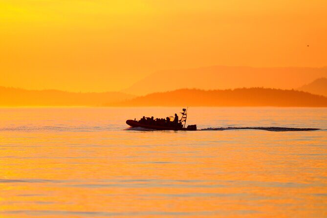 Sunset Whale and Wildlife Adventure in Cowichan Bay - An In-Depth Look at the Tour Experience
