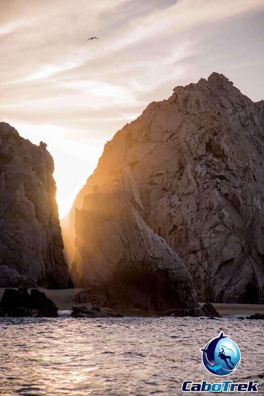 Sunset Whale Watching Cruise in Cabo San Lucas - The Verdict: Is It Worth It?