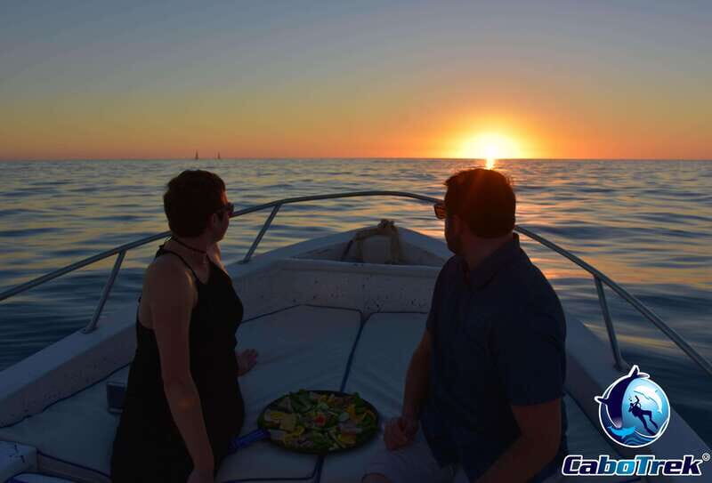 Sunset Whale Watching Cruise in Cabo San Lucas - Final Thoughts