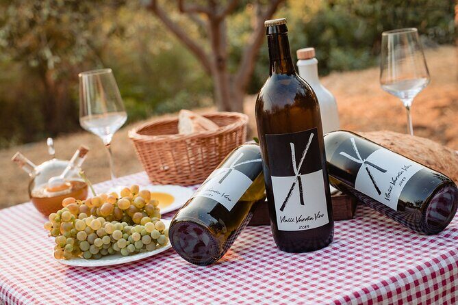 Sunset wine tasting in vineyard - The Experiences Strengths and Limitations