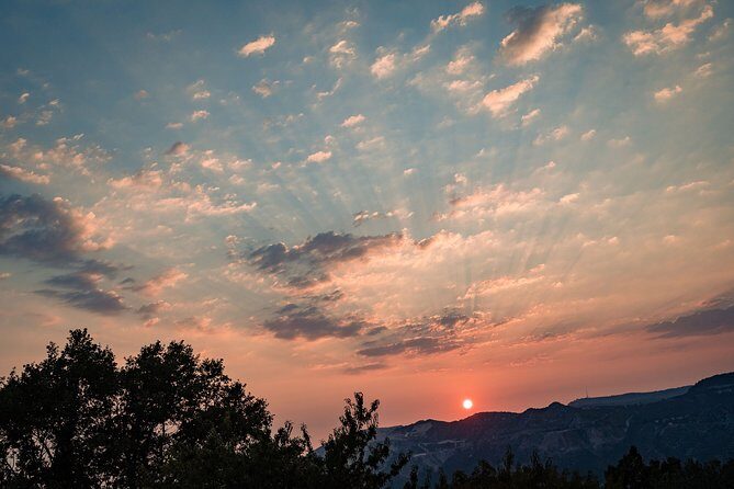 Sunset wine tasting in vineyard - Who Should Consider This Tour?