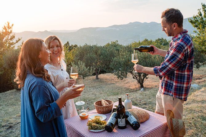 Sunset wine tasting in vineyard - Ready for a beautiful evening among vines and olives? This tour might just be the highlight of your trip to Dubrovnik. Cheers to good wine and even better views!
