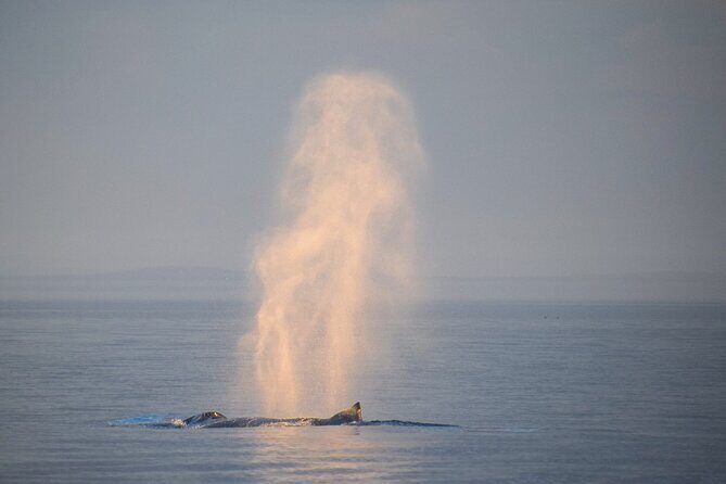 Sunset Zodiac Tour - Who Will Enjoy This Tour?