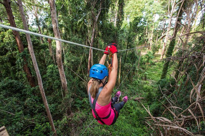 Sunshine Coast Adventure Park TreeTop Challenge - An Overview of the Experience