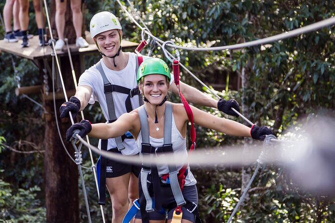 Sunshine Coast Adventure Park TreeTop Challenge - What Travelers Say: Authentic Feedback