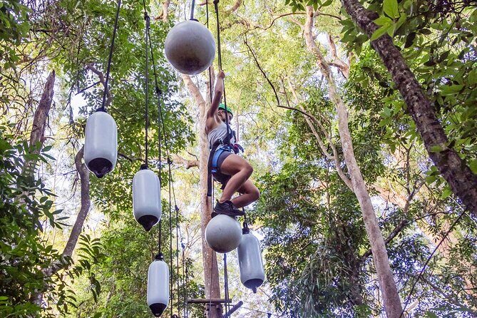 Sunshine Coast Adventure Park TreeTop Challenge - Final Thoughts