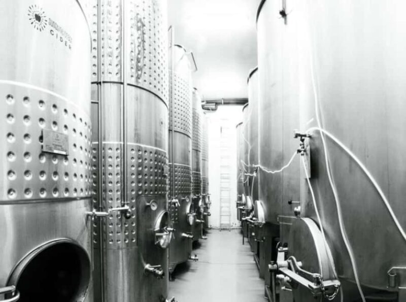 Sunshine Coast: Explore the Art of Cider & Champagne Making - Authentic Experiences and Reviewer Insights