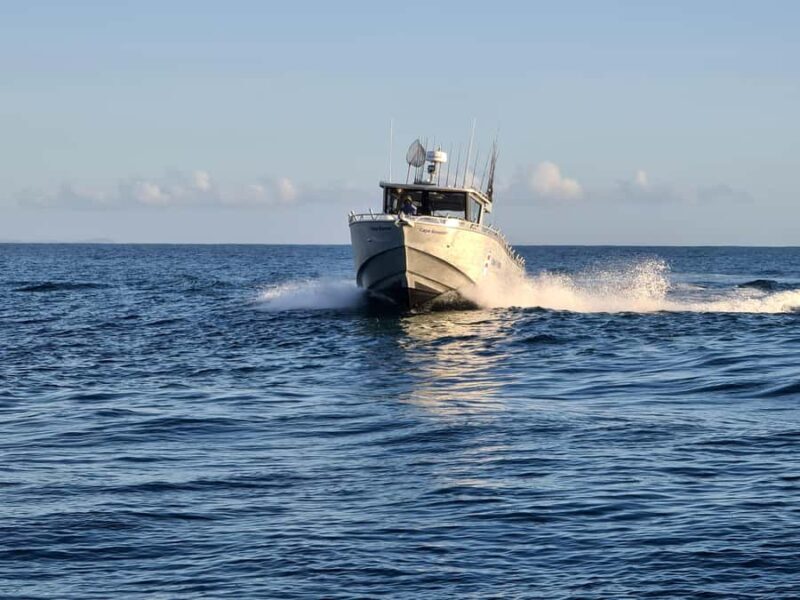 Sunshine Coast: Fishing Charters - Key Points