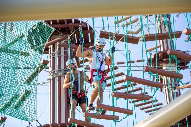 Sunshine Coast High Ropes Course - What Is the Sunshine Coast High Ropes Course?