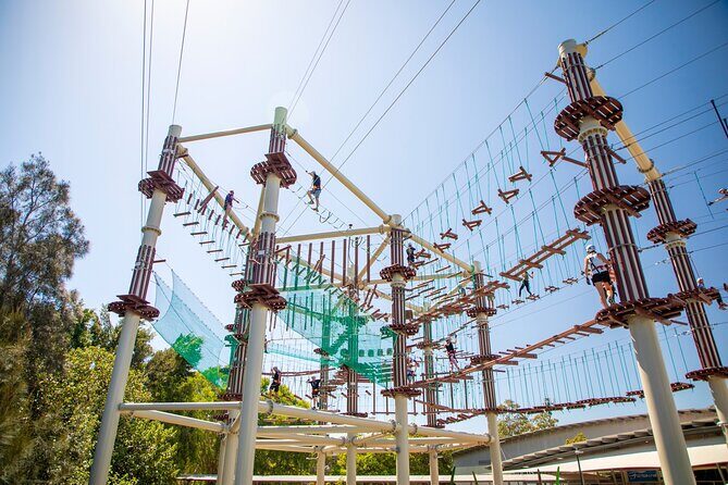 Sunshine Coast High Ropes Course - Practical Tips for Your Visit