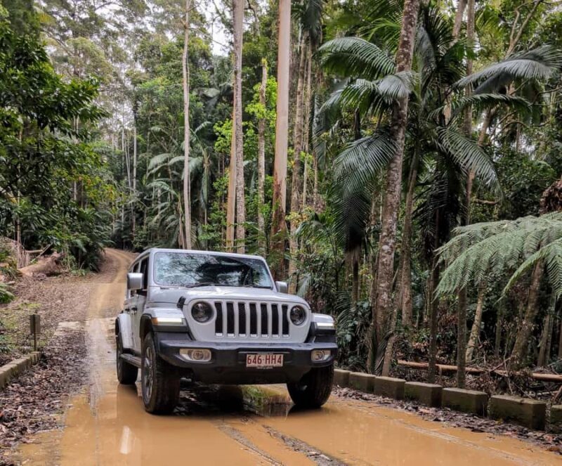 Sunshine Coast: Hinterland Adventure Private 4WD Jeep Tour - The Itinerary: What Does a Typical Day Look Like?