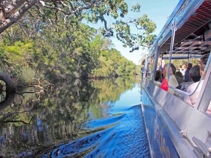 Sunshine Coast: Noosa Everglades, Hinterland & Boat Cruise - Transportation & Practical Details