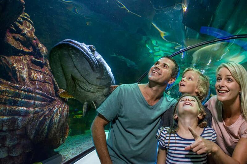 Sunshine Coast: SEA LIFE Sunshine Coast Entry Ticket - Key Points