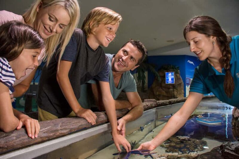 Sunshine Coast: SEA LIFE Sunshine Coast Entry Ticket - Cost and Value