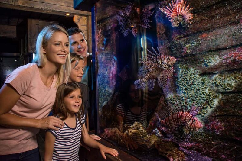 Sunshine Coast: SEA LIFE Sunshine Coast Entry Ticket - Final Thoughts