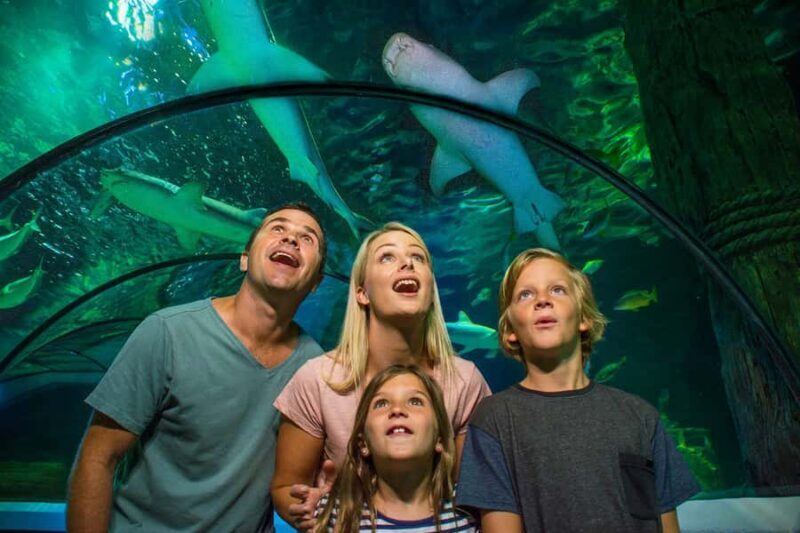 Sunshine Coast: SEA LIFE Sunshine Coast Entry Ticket - FAQ