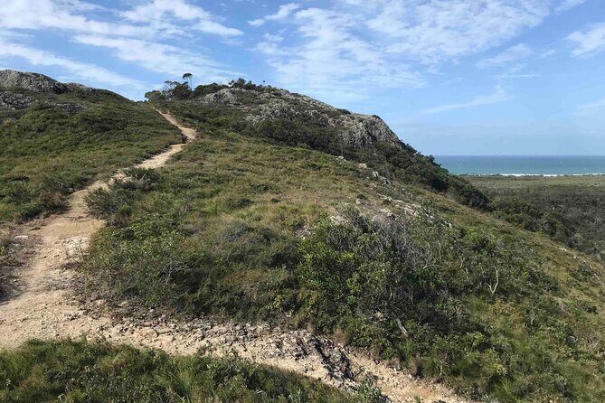 Sunshine Coast Seaside Explorer Private Tour with Lunch - An In-Depth Look at the Sunshine Coast Seaside Explorer Tour