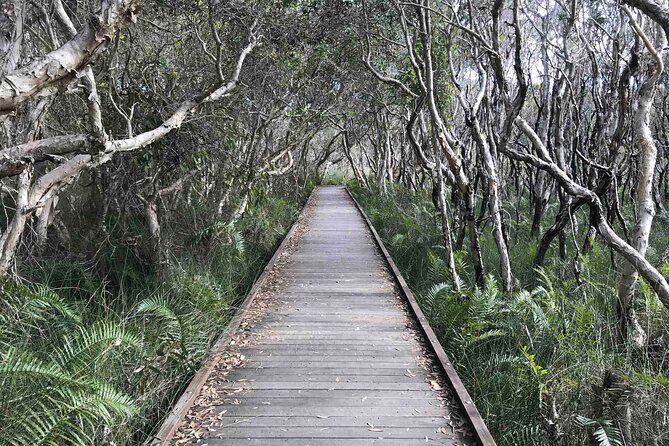 Sunshine Coast Seaside Explorer Private Tour with Lunch - FAQ