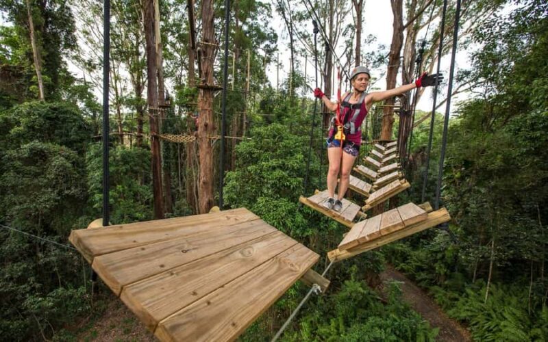 Sunshine Coast: Treetop Challenge Adventure Park - An In-Depth Look at the Treetop Challenge Adventure Park