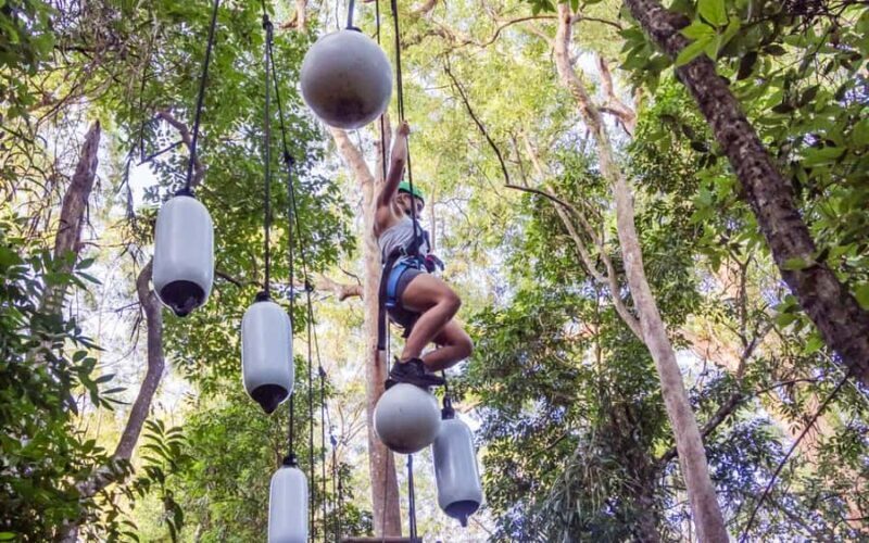 Sunshine Coast: Treetop Challenge Adventure Park - The Sum Up