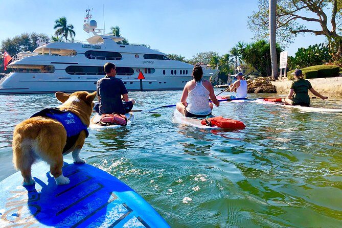 SUP PUP Paddleboard Tour - An In-Depth Look at the SUP PUP Paddleboard Tour