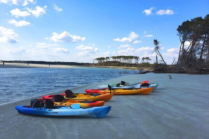 SUP (stand-up paddboard) Salt Marsh Maze Tour - What to Expect from the SUP Salt Marsh Maze Tour