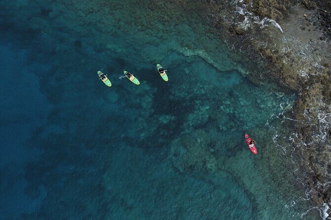 SUP Standup Paddling and Snorkeling Shared Experience - Who’s This Tour Best For?