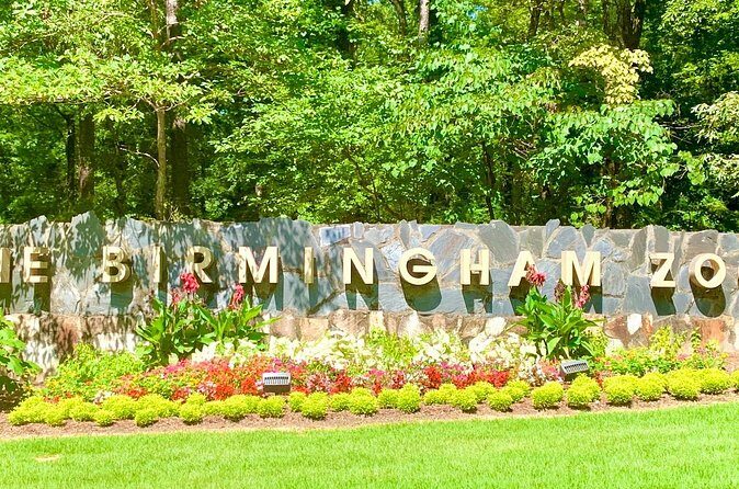 Super City Birmingham Hop On Hop Off Driving App Tour - Final Thoughts: Is It Worth It?