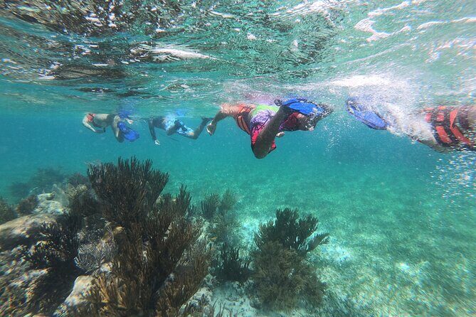 Super Combo ATV in Cancun with Zipline, Snorkel, Cenote, transfer - The Itinerary Breakdown