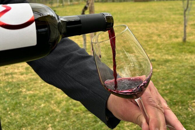 Superior Wine Tasting with Lunch on the slopes of Mt. Vesuvius - Discovering the Superior Wine Tasting on Mount Vesuvius