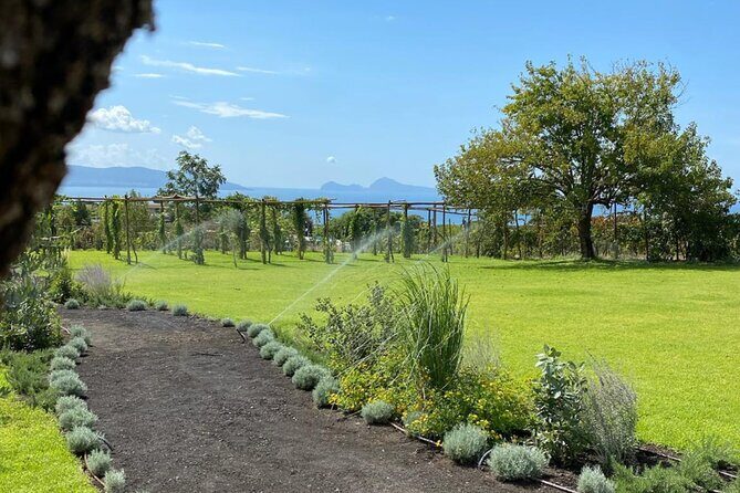 Superior Wine Tasting with Lunch on the slopes of Mt. Vesuvius - Practical Details and Tips