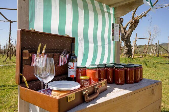 Superior Wine Tasting with Lunch on the slopes of Mt. Vesuvius - Final Thoughts: Who Should Book This?