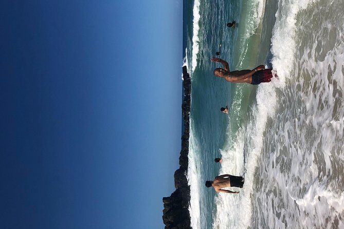 Surf and SeaTurtles Oahu Tour - FAQ