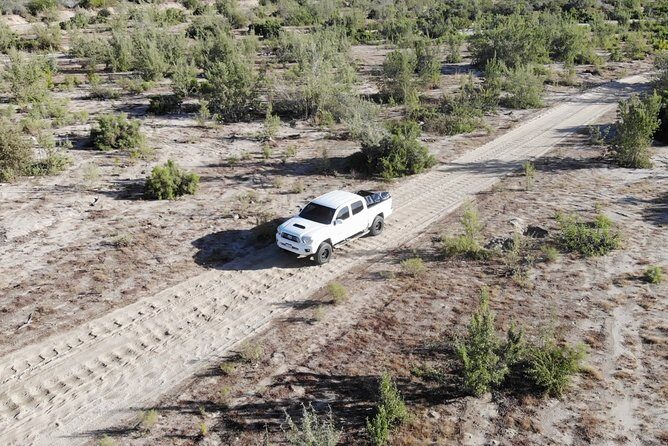 Surf Expeditions (Half day) - Who Should Consider This Tour?