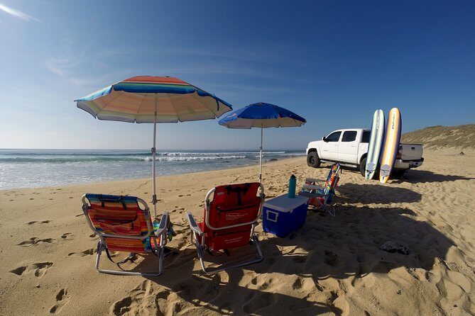 Surf Lesson Tours (Full day) - The Cost and Value