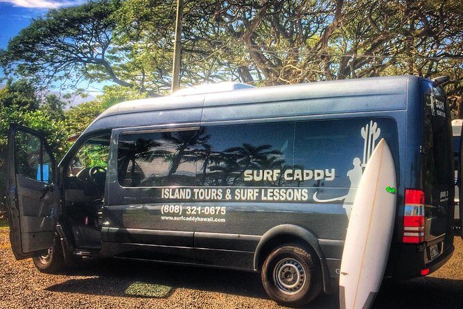 Surf Lessons in Hawaii Paddle Assisted - What Are the Downsides?