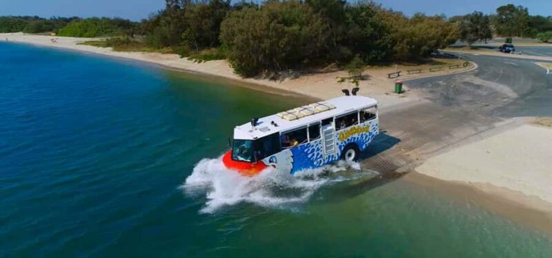 Surfers Paradise: Guided Gold Coast Amphibious Bus Tour - What Is the Surfers Paradise Amphibious Bus Tour?