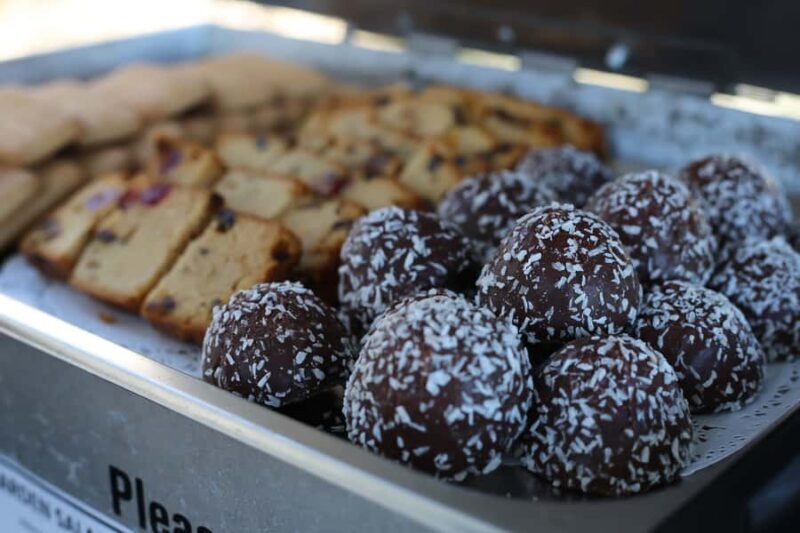 Surfers Paradise: Sightseeing Morning River and Canal Cruise - Key Points