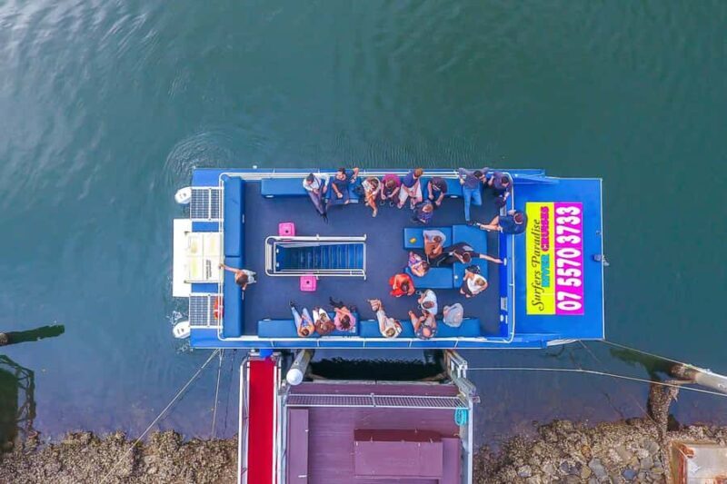 Surfers Paradise: Sightseeing Morning River and Canal Cruise - A Few Downsides to Keep in Mind