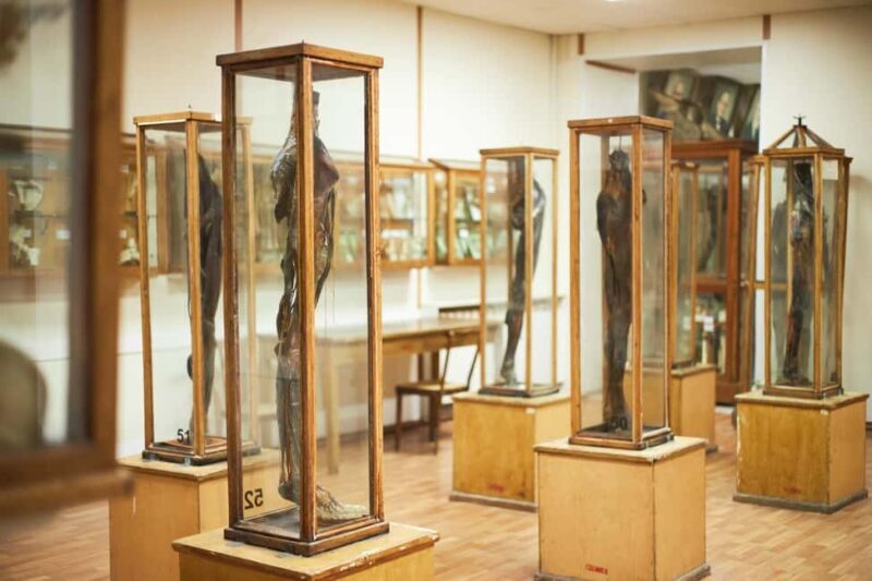 Surgeons' Hall Museums Private Guided Tour Edinburgh - Who Will Love This Tour?