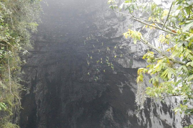 Surrealist Garden Tour in Xilitla and Sotano de las Huahuas - FAQ
