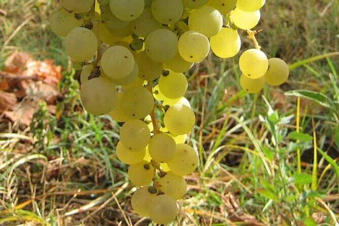 Surroundings of Rome on Vespa - FAQ