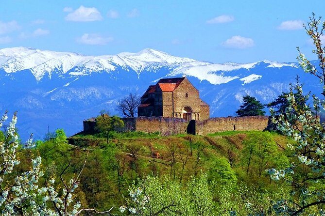 Surroundings of Sibiu: Saxon Heritage & Scenic Villages - Who Is This Tour Best For?